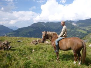Cowboy-300x225 ©