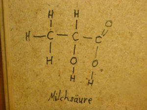 Milchsäure-300x225 Gärung
