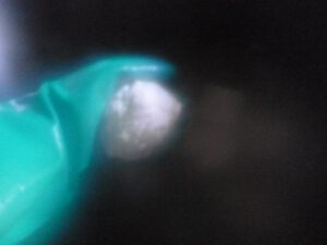 Mozzarella-formen-300x225 Mozzarella