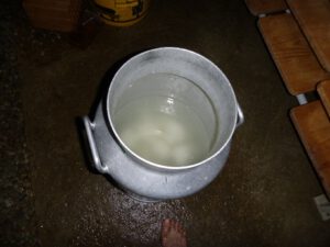 Mozzarella-in-Salzwasser-300x225 Mozzarella