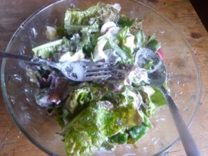 Salat-nur-aus-Eigenprodukten-1-300x225 Joghurt