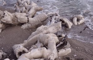 Salzkonkretionen-300x195 Salz