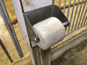 Salzleckstein-300x225 Salz