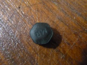 Spirulina-Tablette-300x225 Spirulina