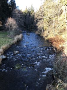 Bach-225x300 Wasser