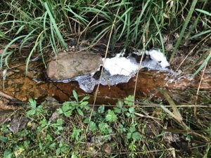 Schaum-von-Huminsaeuren-300x225 Wasser