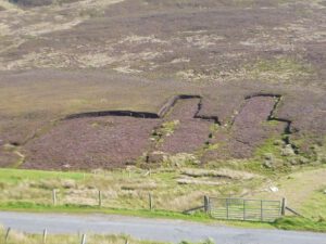 Torfabbau-300x225 Biotop