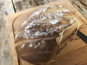 Dinkelbrot-mit-Sonnenblumenkernen-300x225 Sonnenblume