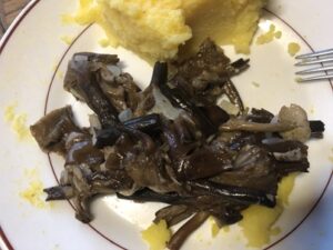 Hallimasche-1-300x225 Hallimasch