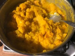 Hokkaidokuerbisbrei-300x225 Kürbis