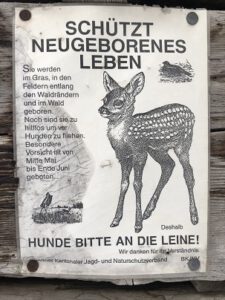 Hunde-anleinen-wegen-Wild-225x300 Hund