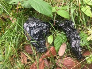 Im-Beutel-weggeworfener-Hundekot-300x225 Hund