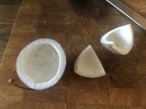 Kokosnuss-300x225 Kokospalme