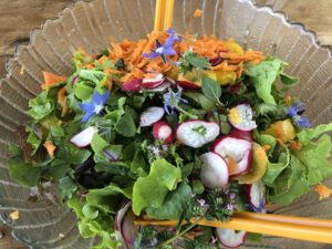 Salat-mit-Borretschblueten-300x225 Borretsch