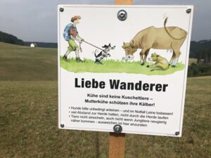 Verhalten-auf-Kuhweiden-300x225 Hund