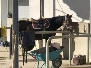 Einsiedler-im-Vorhof-300x225 Einsiedler