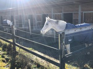 Einsiedler-vor-Boxen-300x225 Einsiedler