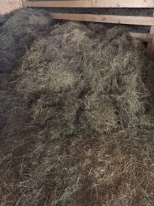 Heu-in-der-Scheune-225x300 Heu