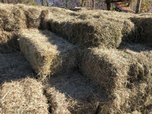 Heuballen-1-300x225 Heu