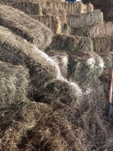 Heuballen-225x300 Heu