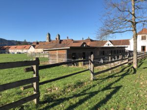 Kloster-Einsiedeln-300x225 Einsiedler
