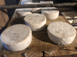 Weissschimmelkaese-300x225 Weißschimmelkäse