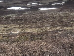 IMG_7249-300x225 Rentier