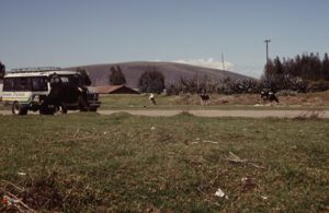 Holstein-Frisian-in-den-Anden-300x195 Holstein-Frisian-Rind