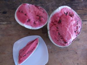 Zerteilte-Wassermelone-300x224 Wassermelone