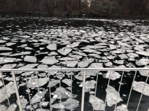 Eis-schwimmt-im-Fjord-300x225 Eis