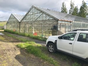 Gewaechshaus-bei-heisser-Quelle-300x225 Erdwärme