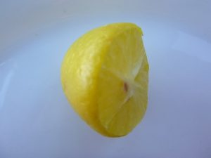 Limquat-300x225 Kumquat