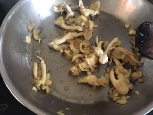 Pleurotus-citrinopileatus-300x225 Seitlinge