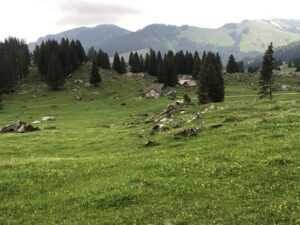 Schwaegalp-300x225 Schwägalp-Käse